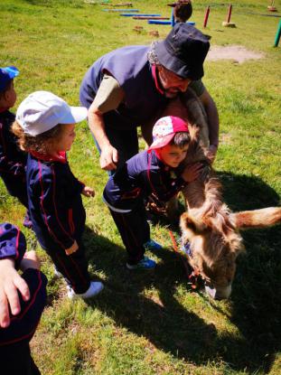 LOS M�S PEQUES SE VAN DE VIAJE - Foto 33
