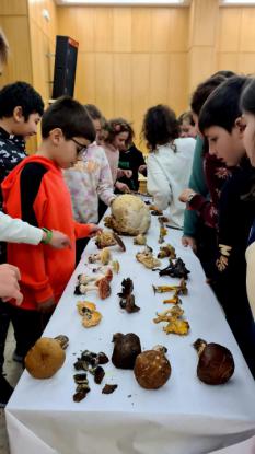 JORNADA MICOL�GICA EN JOSEFINAS - Foto 32