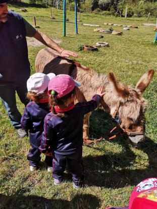 LOS M�S PEQUES SE VAN DE VIAJE - Foto 34