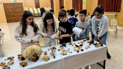 JORNADA MICOL�GICA EN JOSEFINAS - Foto 33