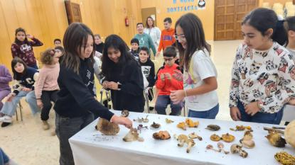 JORNADA MICOL�GICA EN JOSEFINAS - Foto 35