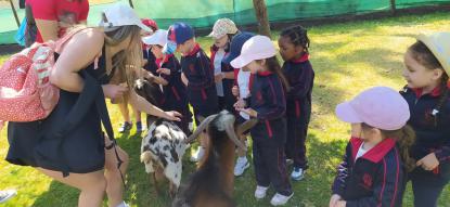 EXCURSI�N 4� ED. INFANTIL - Foto 35