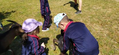 EXCURSI�N 4� ED. INFANTIL - Foto 38