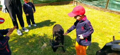 EXCURSI�N 4� ED. INFANTIL - Foto 37