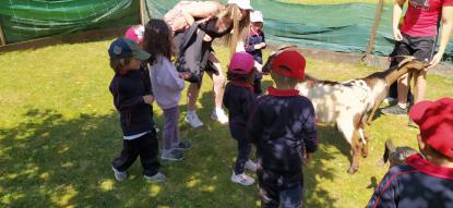 EXCURSI�N 4� ED. INFANTIL - Foto 40