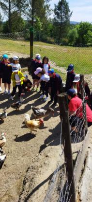 EXCURSI�N 1� ED. PRIMARIA - Foto 4