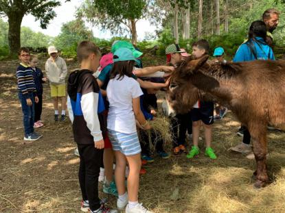 EXCURSI�N 4� PRIMARIA - GRANJA KIRIKO - Foto 3