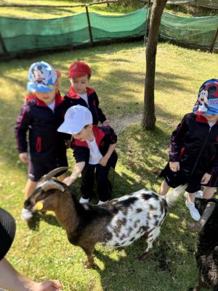 EXCURSI�N 4� ED. INFANTIL - Foto 39