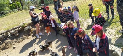 EXCURSI�N 4� ED. INFANTIL - Foto 43