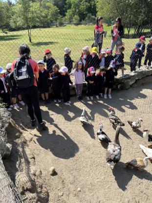 EXCURSI�N 4� ED. INFANTIL - Foto 46