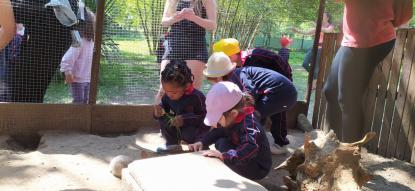 EXCURSI�N 4� ED. INFANTIL - Foto 42