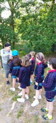 EXCURSI�N 1� ED. PRIMARIA - Foto 28