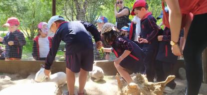 EXCURSI�N 4� ED. INFANTIL - Foto 44