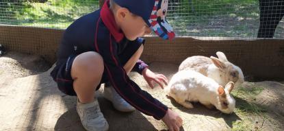 EXCURSI�N 4� ED. INFANTIL - Foto 1