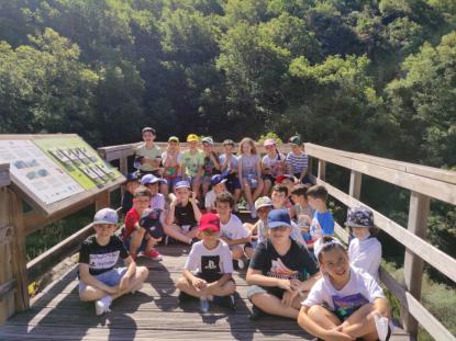 FABRICA DA LUZ 3� PRIMARIA - Foto 5