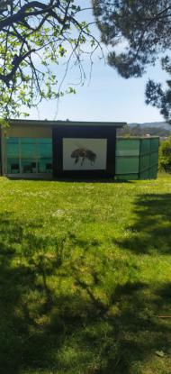 EXCURSI�N PRIMARIA - Foto 3