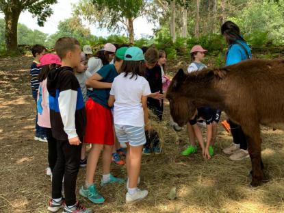 EXCURSI�N 4� PRIMARIA - GRANJA KIRIKO - Foto 4