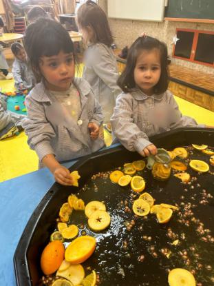 OUTONO INFANTIL - Foto 52