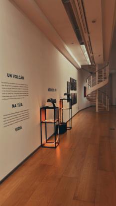 EXPOSICI�N: "LA PALMA. VOLC�N E VIDA" - Foto 12