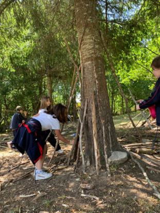 EXCURSI�N 1� ED. PRIMARIA - Foto 34