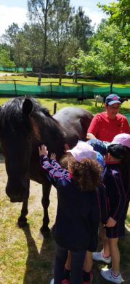 EXCURSI�N 1� ED. PRIMARIA - Foto 7