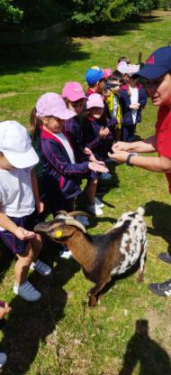 EXCURSI�N 1� ED. PRIMARIA - Foto 11