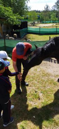EXCURSI�N 1� ED. PRIMARIA - Foto 8