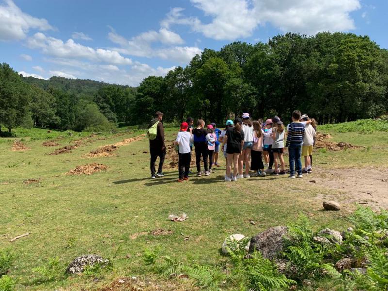 EXCURSIN 4 PRIMARIA - GRANJA KIRIKO