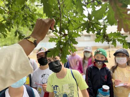  3� Primaria visita el "Aula da Natureza" en Oira - Foto 1