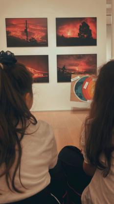 EXPOSICI�N: "LA PALMA. VOLC�N E VIDA" - Foto 21