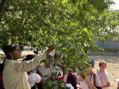  3� Primaria visita el "Aula da Natureza" en Oira - Foto 5