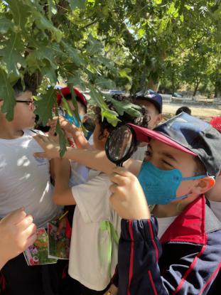  3� Primaria visita el "Aula da Natureza" en Oira - Foto 8