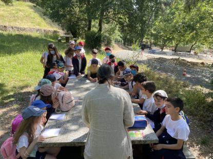  3� Primaria visita el "Aula da Natureza" en Oira - Foto 12