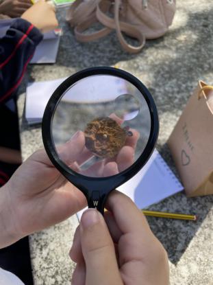  3� Primaria visita el "Aula da Natureza" en Oira - Foto 13