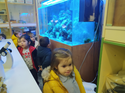 3 A�OS VISITA EL ACUARIO DEL IES OTERO PEDRAYO - Foto 6