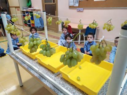 VENDIMIANDO EN 4� DE INFANTIL - Foto 7