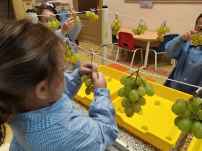VENDIMIANDO EN 4� DE INFANTIL - Foto 1