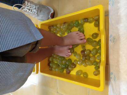 VENDIMIANDO EN 4� DE INFANTIL - Foto 6