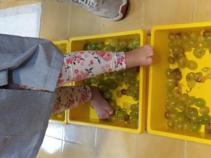 VENDIMIANDO EN 4� DE INFANTIL - Foto 3