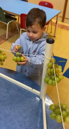 VENDIMIANDO EN 4� DE INFANTIL - Foto 12
