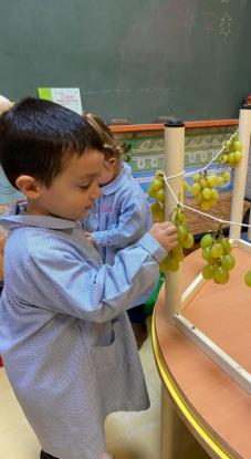 VENDIMIANDO EN 4� DE INFANTIL - Foto 16