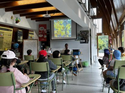 3� Primaria visita el "Aula da Natureza" en Oira - Foto 17