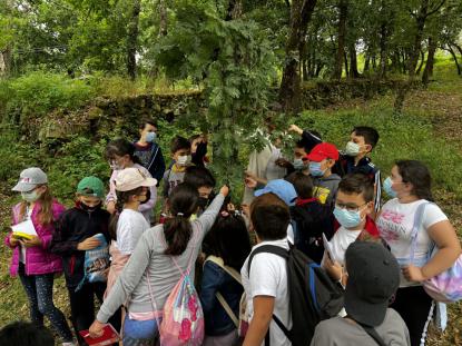  3� Primaria visita el "Aula da Natureza" en Oira - Foto 20