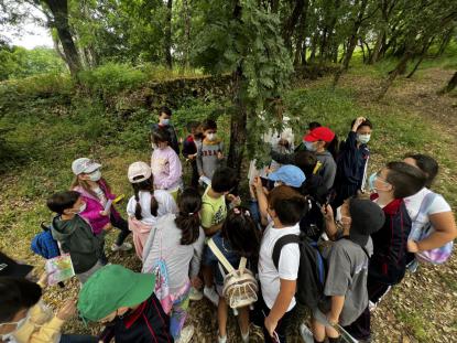  3� Primaria visita el "Aula da Natureza" en Oira - Foto 21