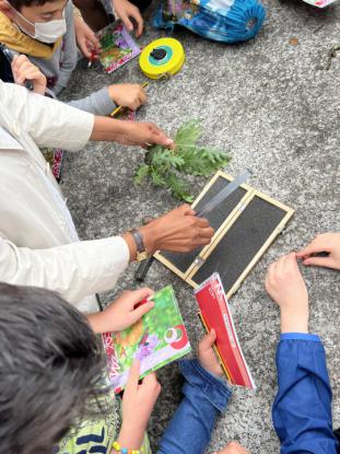  3� Primaria visita el "Aula da Natureza" en Oira - Foto 23