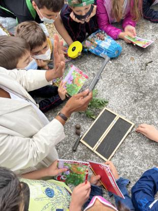  3� Primaria visita el "Aula da Natureza" en Oira - Foto 24
