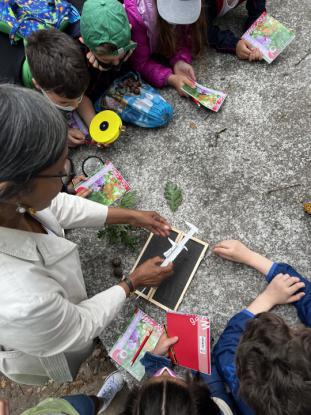  3� Primaria visita el "Aula da Natureza" en Oira - Foto 25