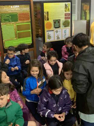 2� EP VISITA AP�POLIS - Foto 15