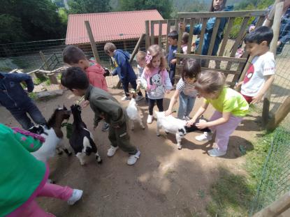 EXCURSI�N DE 5� DE INFANTIL - Foto 9