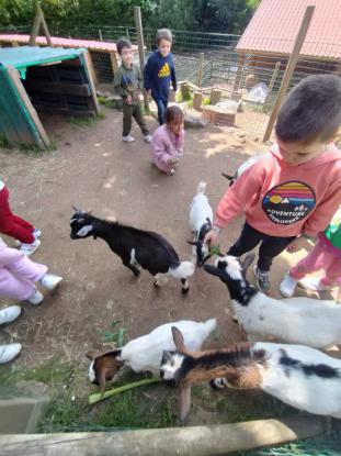 EXCURSI�N DE 5� DE INFANTIL - Foto 16